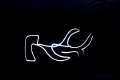 Flashlight Photography of a Hammerhead 