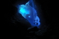 Blue Cave
Popular dive spot in Demre/Turkey 