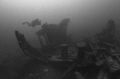 Lost off Halifax in March 1920, the stern of the "Bohemian" lies broken apart at a depth of 80-feet. Nikonos V, 12mm Sea&Sea lens, 3200 ASA B&W film, manual exposure in natural light.
Slightly cropped in PS. 