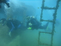 My bigger son, diving among a sunken ship 