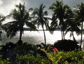 Late in the day at Wananavu 