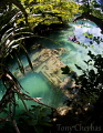 Japanese Sea Plane Wreck, Rock Islands, Palau 