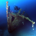 Fearless Wreck 
