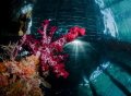 Under the pier 