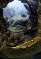 Lesleen M Wreck 