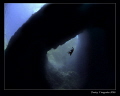 Magic Flight 
Malta. Blue Hole. 