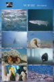 All shots taken under the Blue Heron Bridge in West Palm Beach
 
