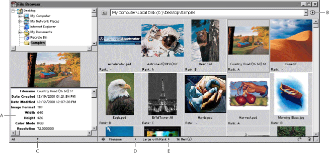 Illustration of The Photoshop File Browser with these callouts: A. File information B. File Browser palette menu C. File information pop-up menu D. Sort By pop-up menu E. View By pop-up menu
