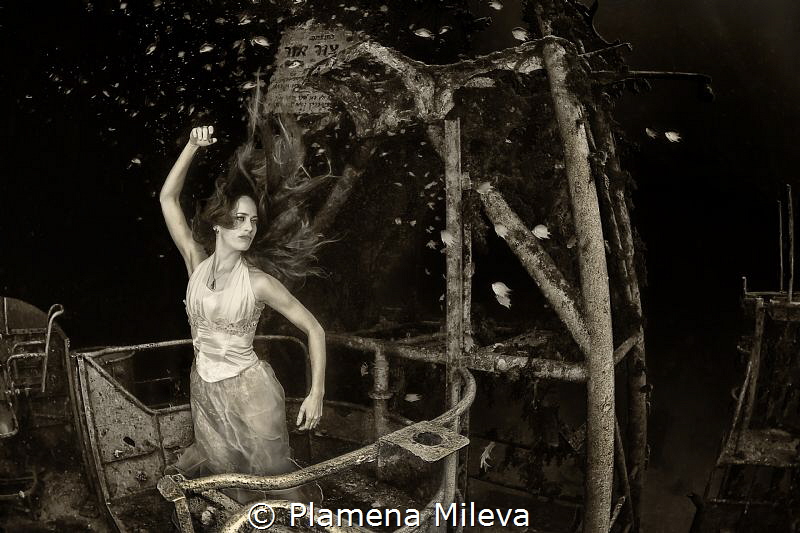Plamena Mileva