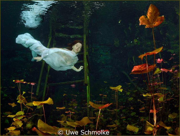 Uwe Schmolke