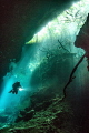 Ponderosa, one of Mexico's Cenotes