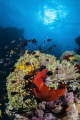 south red sea