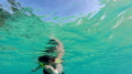 Under pool