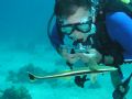 where is my next ride? Roatan,HN.