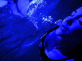 When the night, water and silence melt into One