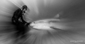 Vinny from Epic Diving working with Emma, a large tiger shark.  Keeping her from crushing the bait box