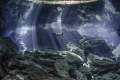 Cenote diving in Chac Mool