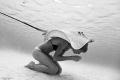 The mermaid and the stingray