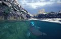Seal in the outer Farne Islands. Lens is 17-35mm with dome port.