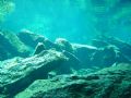 Cenote diving!
