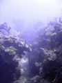 Coral garden with loads of swim throughs taken near Guardalavaca in Cuba.