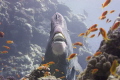 hammerhead (or bumphead) parrotfish caught by surprise... 
NEX 7, Nauticam Housing 18-35