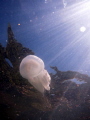 snorkeling in Hong Kong