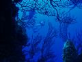 West side of Glovers Reef.