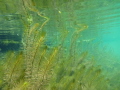 Fernsteinsee