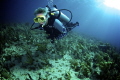 Canon Rebel T5i/700D, fisheye lens, Nauticam housing, dual inon strobes.  Taken in Southern Belize barrier reef