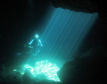 Ray of Lights