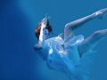 Taken in a pool, using scuba gear. Photoshop used to get rid of the tiles of the pool in the background. Such beautiful light through the pool!