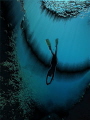 Siren