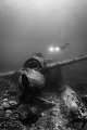 A diver exploring a WWII JAKE Sea Plane in Palau.