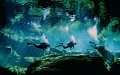Divers heading back to the opening in Cenote....