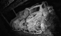 FIAT 1100, Umbria, Italian Navy, WWII military shipwreck in Port Sudan.
