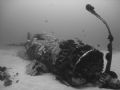 'The Corsair' - Plane wreck off south-eastern shore of Oahu. Great little oasis in the middle of some sand.