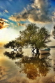 Uluabat lake Golyazi/Bursa