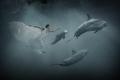 Dolphins weeding