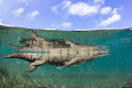 With the bottom just out of reach, I tried desperately to get an over-under of this beautiful saltwater crocodile in Jardines de la Reina.
