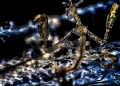 This is a Skeleton Shrimp (Caprella) in its natural environment. They are very, very tiny little aliens, only about 3mm in length. This one was found at a depth of approx. 8m on a mooring line in Malta. I used a self-made darkfield flash.