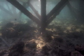 Under the Jetty, Mabul