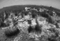 flying by over a nest/ 
Russia,
Blue lake
The frog in transparent water as the witch flies over the wood