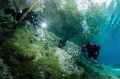 This is a occasional meeting 2 divers in Grüner See austria in may 2012 taken with Nikon D7000 Seacam Housing 10-17mm one flash