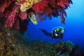 Diving between big gorgonians of Medees islands