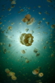 The Big Bang
