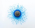 A close-up shot of a button jellyfish (Porpita porpita) taken in the Cayman Islands. The button jellyfish is actually a colony of hydroids. I got the white background by placing a white plate under the jellyfish whilst snorkeling.