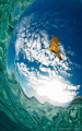 batfish in the sky / A batfish between my fisheye lens and the surface.