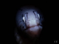 Geometric moray eel - Reunion Island