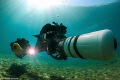 Diving in the Fast Lane